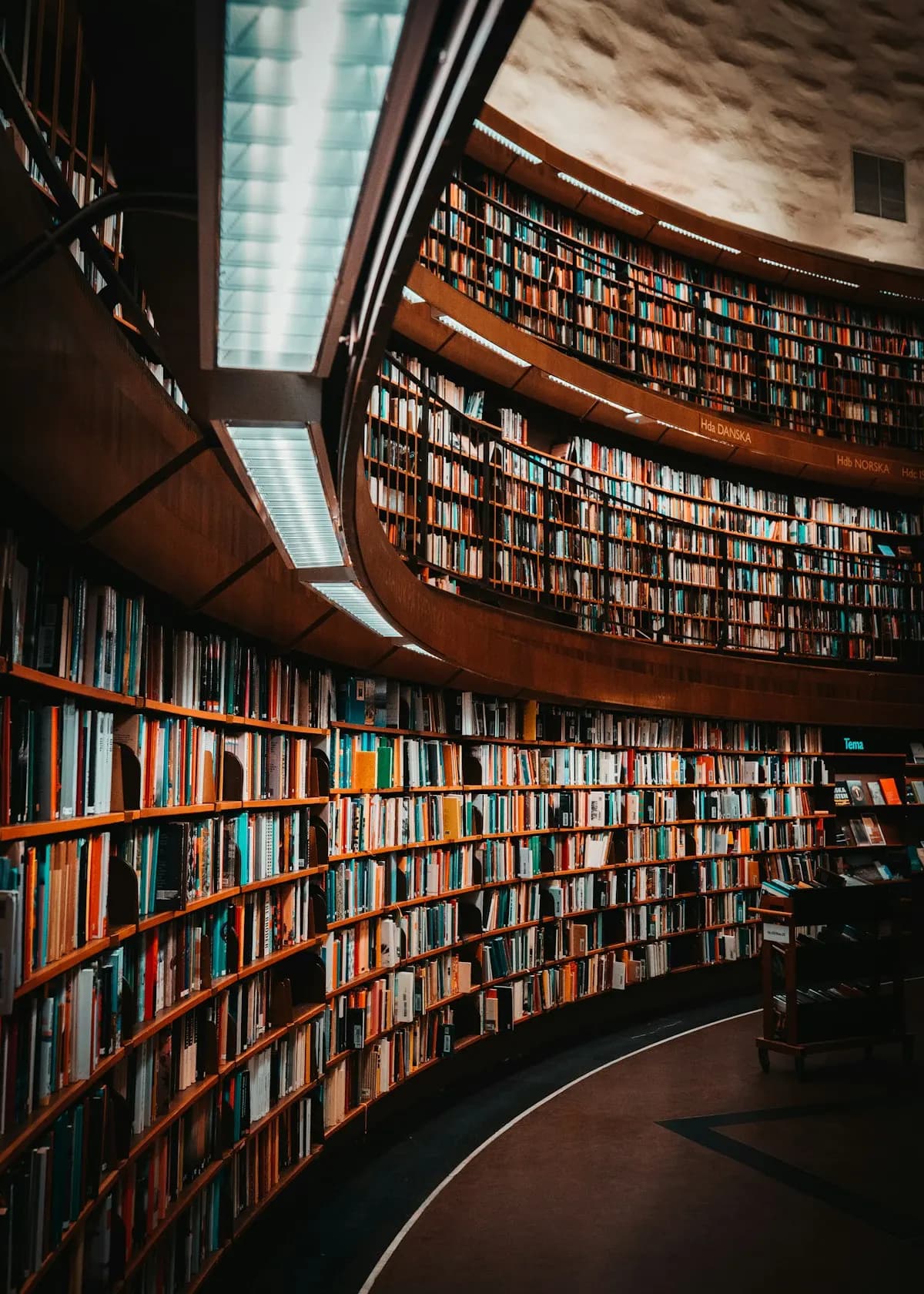 Curved wooden shelves filled with colorful books in a round library hall under strip lights